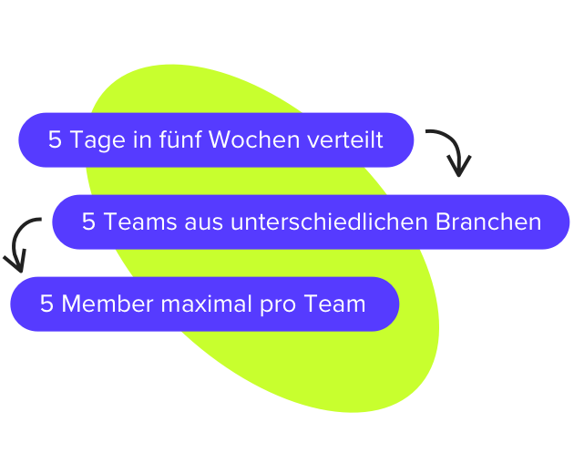5-Teams 5-Teams